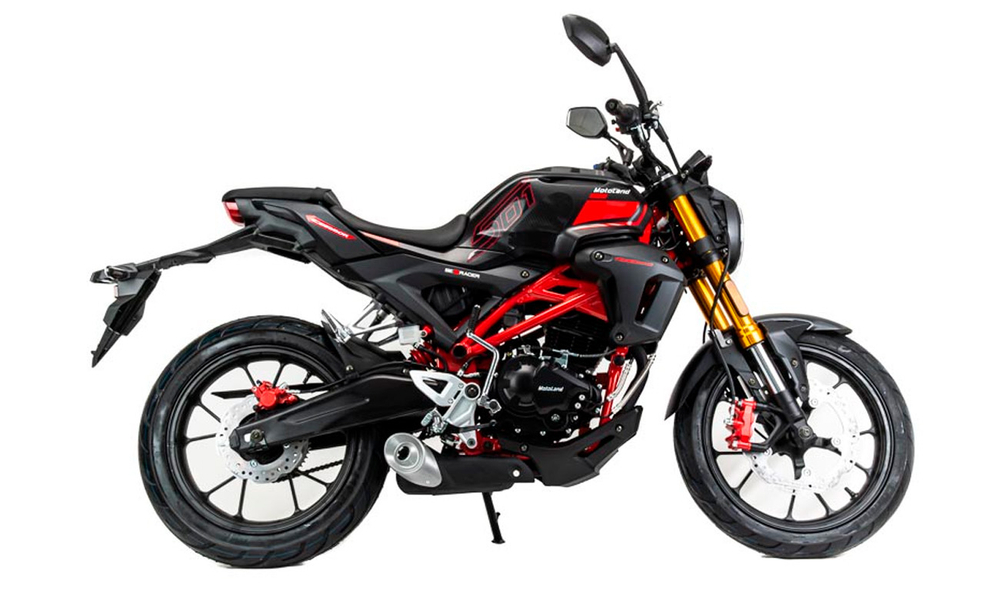 Мотоцикл MOTOLAND 501 (172FMM-5/PR250) ТУРЭНДУРО