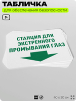 Табличка для обеспечения безопасности "Станция для экстренного промывания глаз", для офиса, по охране труда для предприятия, организаций, 40х30 см, Silver Plane x Айдентика Технолоджи