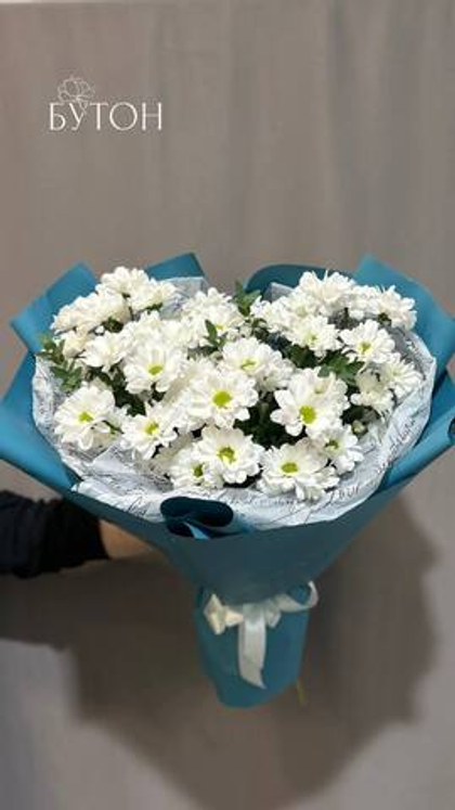 Хризантемы ромашковые