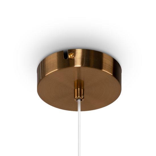 Подвесной светильник Freya FR5265PL-01BS