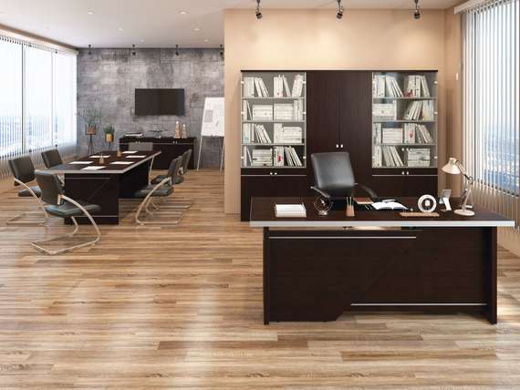 Кабинет руководителя Зум