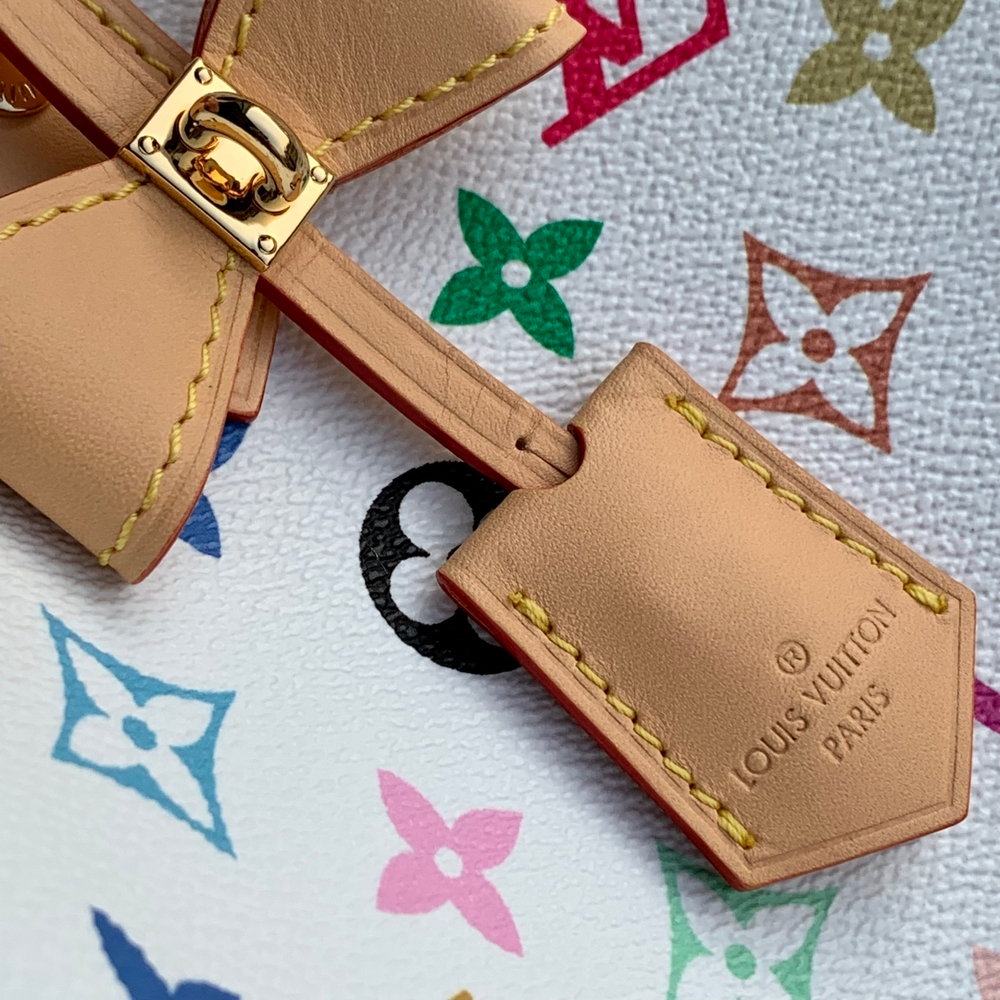 Louis Vuitton Speedy 25