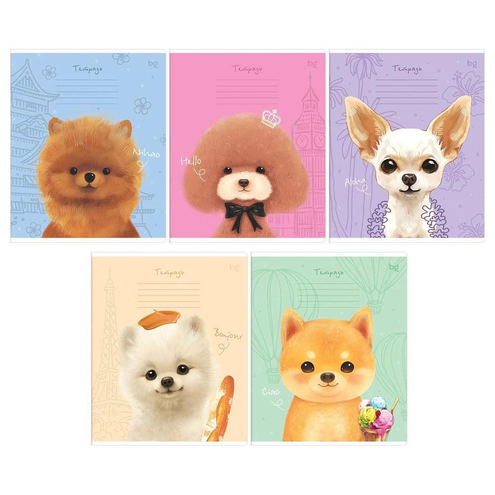 Тетрадь А5 18л. линия "Добрый день" (BG)