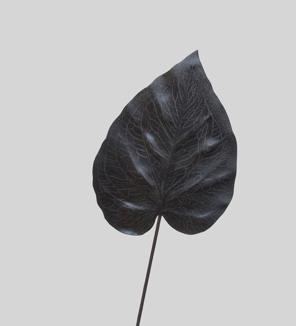 TR 574M Каладиум