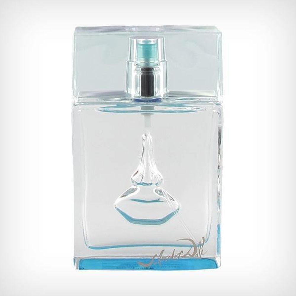 Salvador Dali Sea and Sun In Cadaques