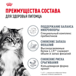 Royal Canin Digestive Care Корм сухой поддержание здоровья пищеварительной системы для взрослых кошек 400г