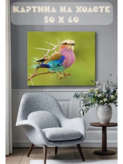 Картина на стену 40 X 50 Цветная птица