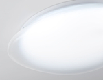 FZ1601 FR матовый IP20 40W 5000K 410*100 (Без ПДУ)