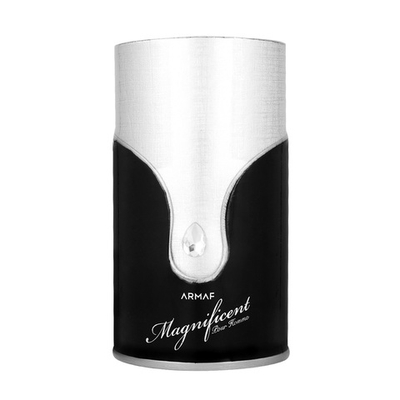 Armaf Magnificent Pour Homme Eau De Parfum 100 ml (man)