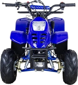 Электроквадроцикл Avantis CLASSIC 6Е (600W)