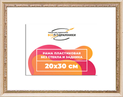 Рама 20x30 для картин и фотографий