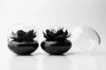 Контейнер для ватных палочек lotus, черный