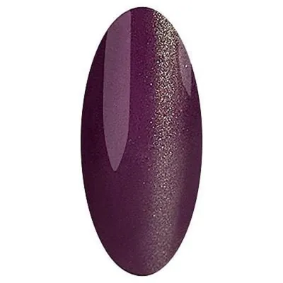 Гель-лак IRISK Cat Eye, 10гр, 06