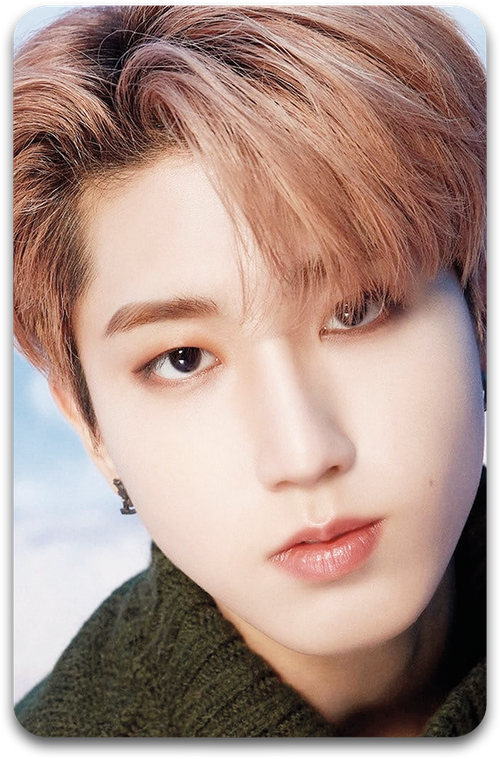 Карта / STRAY KIDS #3172