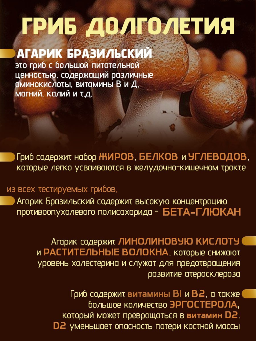Fine Japan экстракт Агарикуса, гриба долголетия