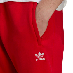 Брюки спортивные мужские adidas Originals ESSENTIALS PANT