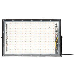 Фитопрожектор для растений светодиодный ЭРА GREEN LINE FITO-200W-Ra90-LED-Y-GR полного спектра 200 Вт