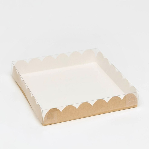 Коробка с прозрачной крышкой 18 х 18 х 3 см