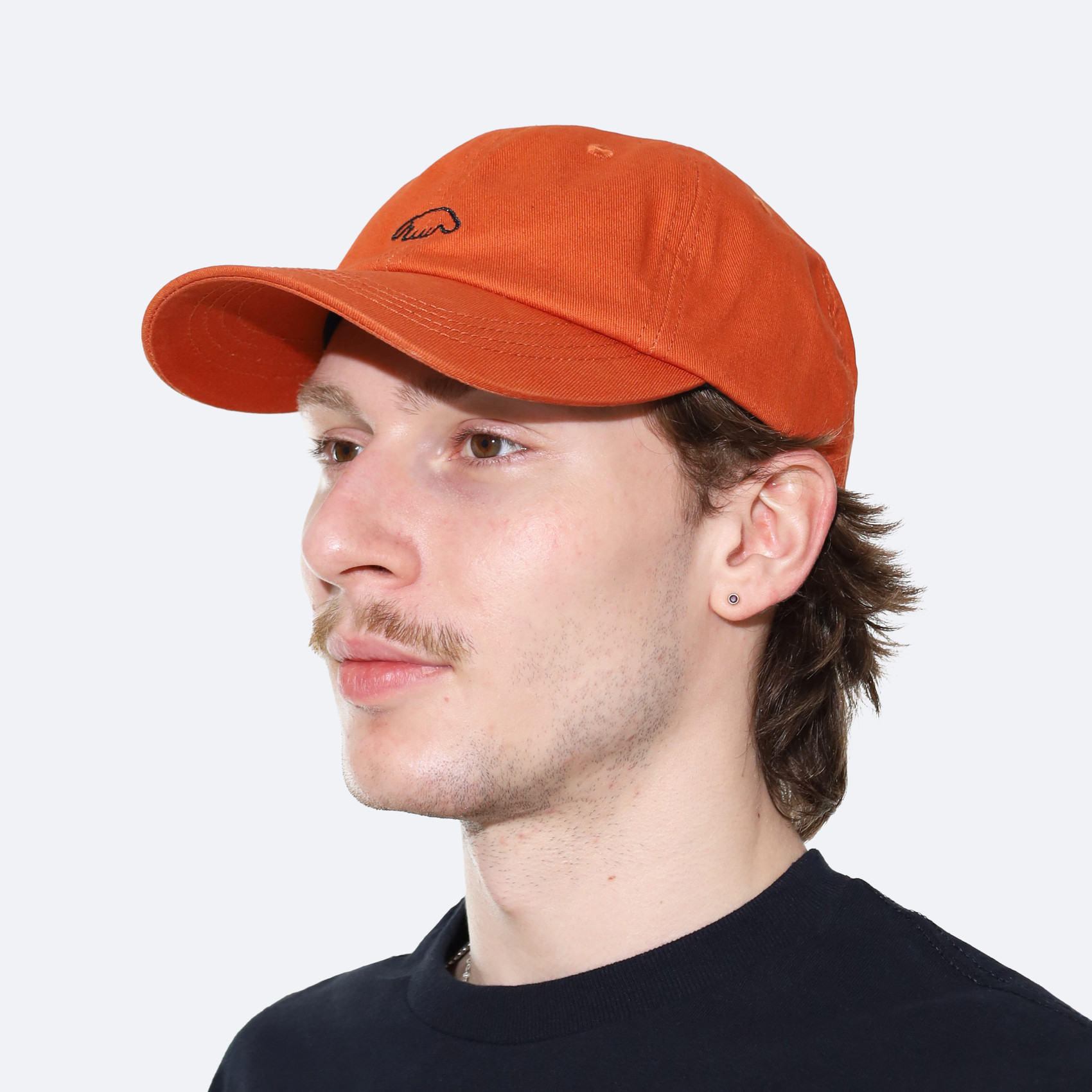 Кепка Anteater 6Panel (terrakot) артикул: - купить в магазине Дайс