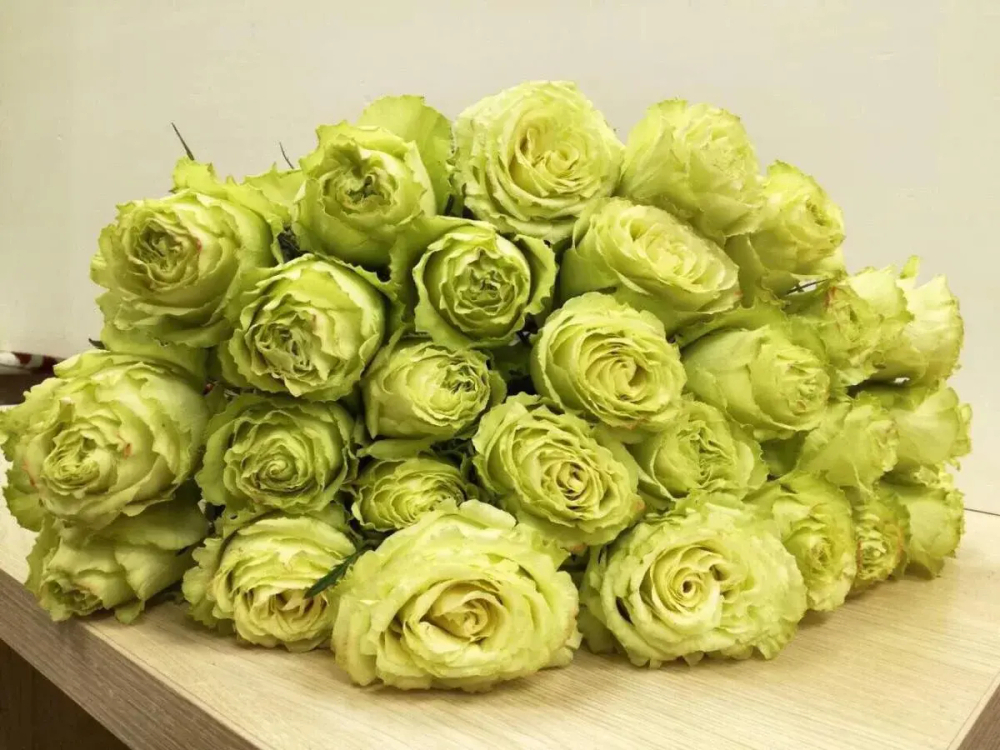 Роза Лимонад чашелистик