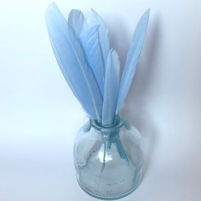 Перья утки небесно-голубой 15 шт.