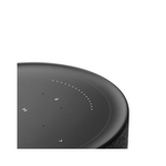 Акустическая система Bang & Olufsen Beosound Balance Black Oak