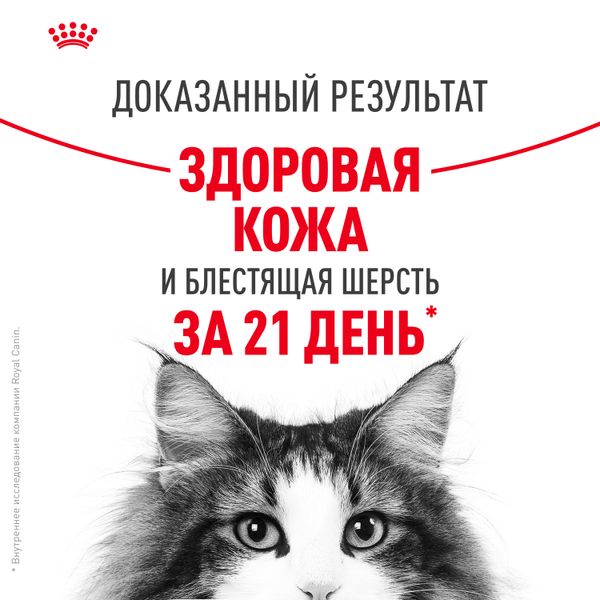 Пауч Royal Canin Hair&Skin Care для взрослых кошек для поддержания здоровья кожи и красоты шерсти, тонкие ломтики в соусе
