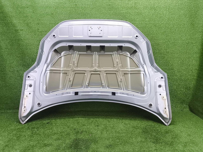 Капот Zeekr 001 (2021-н.в.) (В пленке)