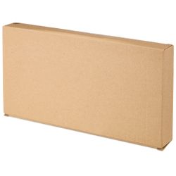 БЛЮДО СЕРВИРОВОЧНОЕ КОЛЛЕКЦИЯ "PINE CONES", 30,2*16*3,1 СМ