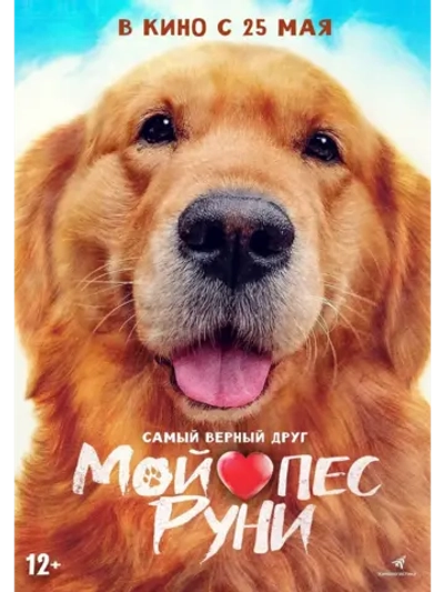 Мой пёс Руни (2023) (DVD-R)