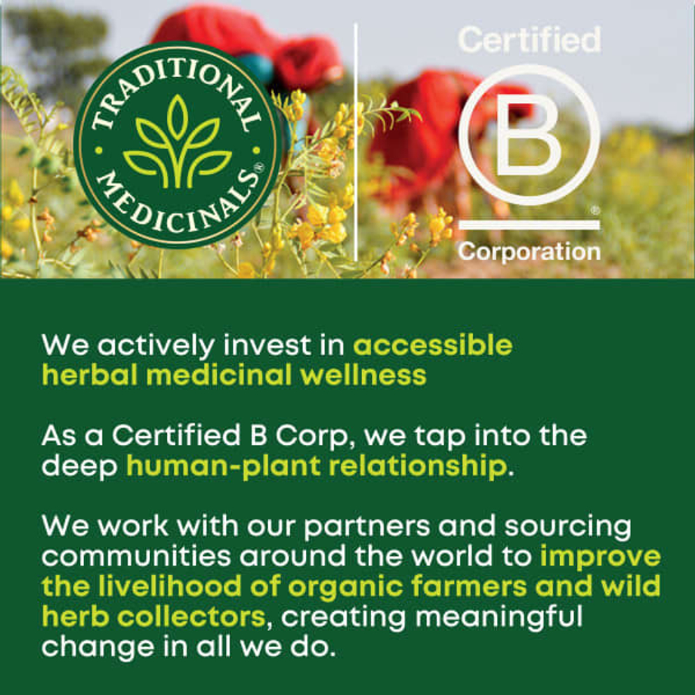 Traditional Medicinals, Organic Smooth Move®, оригинальный вкус с сенной, без кофеина, 16 упакованных чайных пакетиков, 32 г (1,13 унции)