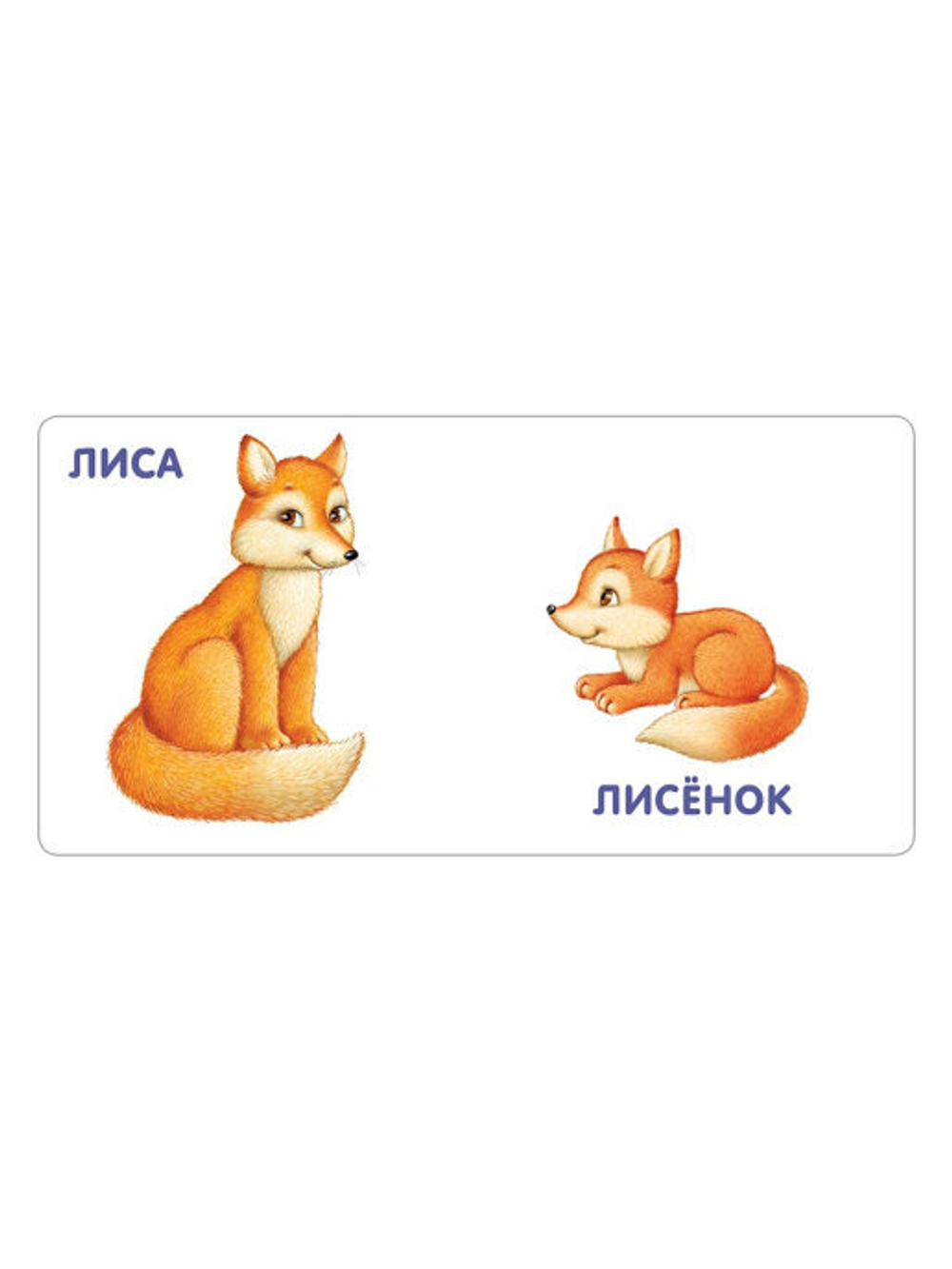 Книжки - картонки. Животные и детёныши