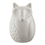 Солонка in the forest fox