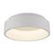 Потолочный светодиодный светильник Arte Lamp A6245PL-1WH