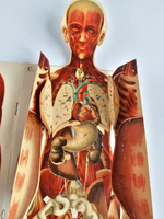 "Новый способ лечения. Лечение целебными силами природы."  М. Платен. 1906 г.