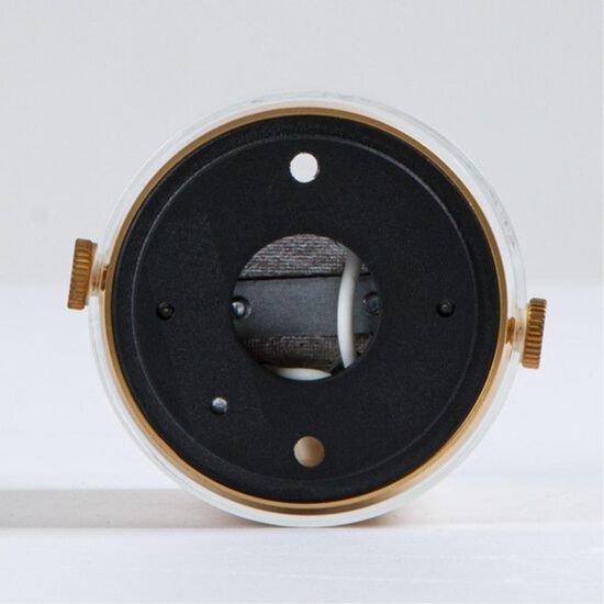 A5365PL-1SG Светильник потолочный накладной LAZIO Ø60x110мм матовое золото IP20