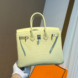 Hermes Birkin 25