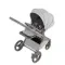 Коляска ANEX Flo 3 в 1 Frossy