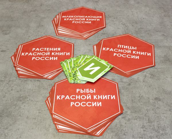 Готовый материал от 28.11.2024 г.