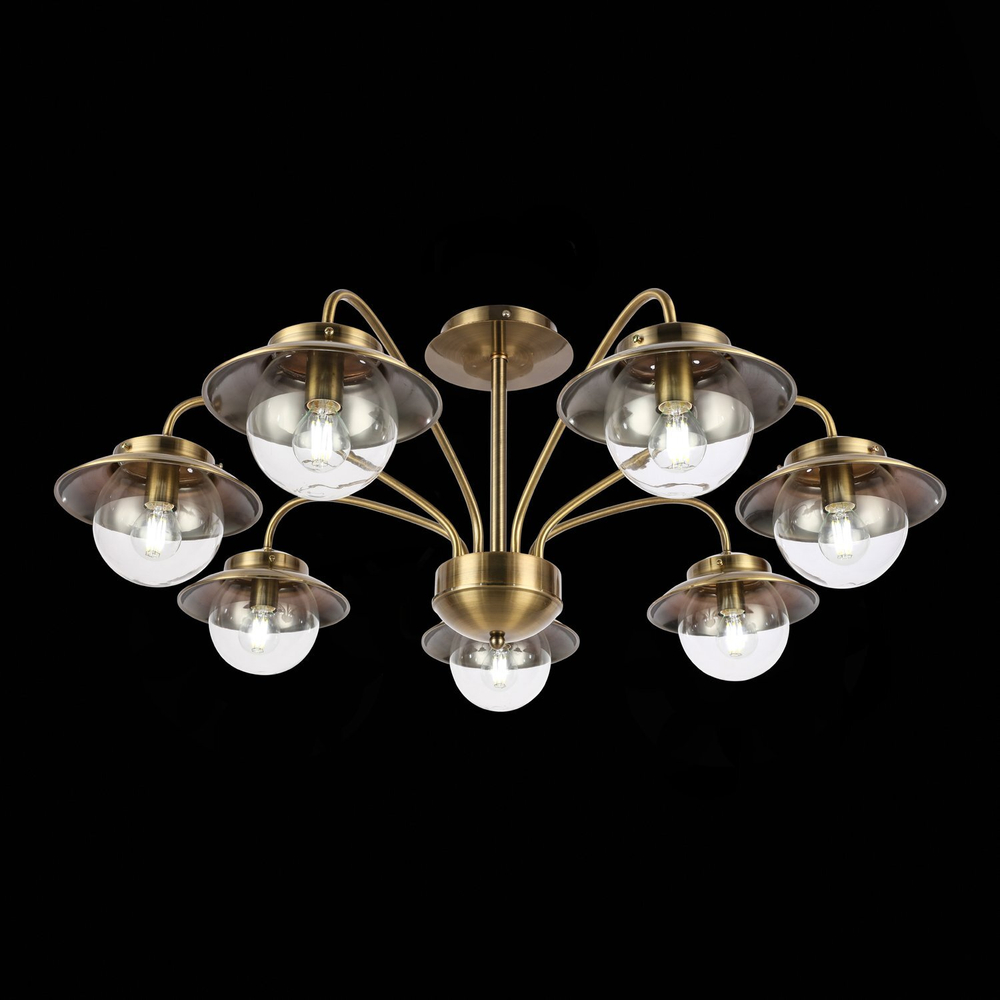 Светильник потолочный Evoluce Garonni SLE110102-07