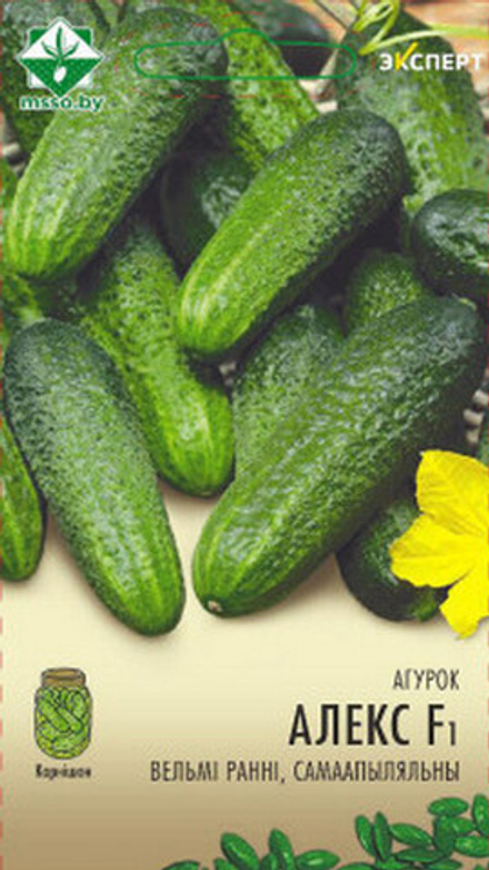 Огурец "Алекс F1" 10шт, Нидерланды.