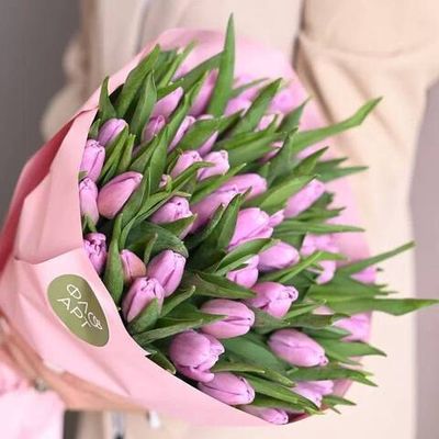 51 фиолетовый тюльпан