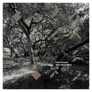 Luke Howard / Open Heart Story (LP)