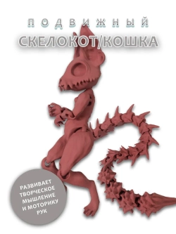 Скелет Кошки