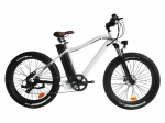 Электрофэтбайк Hoverbot FB-2 PRO FATBIKE