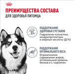 Royal Canin Maxi Joint Care Макси Джойнт кэа Корм сухой для взрослых собак крупных размеров с повышенной чувствительностью суставов 3кг