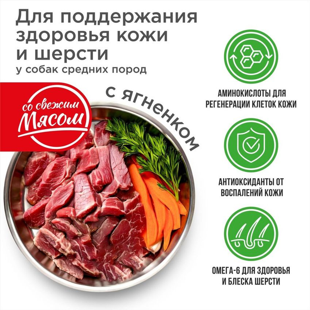 Корм сухой для взрослых собак породы Колли, с ягненком, 2.5 кг, QUATTRO