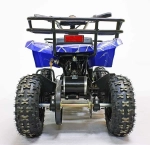 Электроквадроцикл Green Camel Гоби K31 (36V 800W R6 Цепь) ножной тормоз