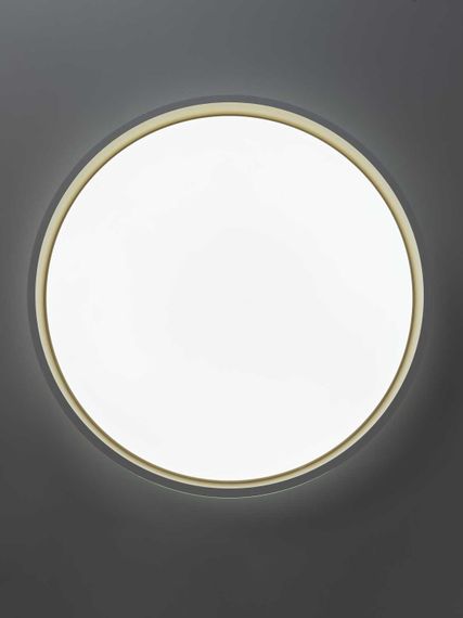 Светильник потолочный Citilux ENZO CL753450G