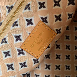 Louis Vuitton Speedy 25